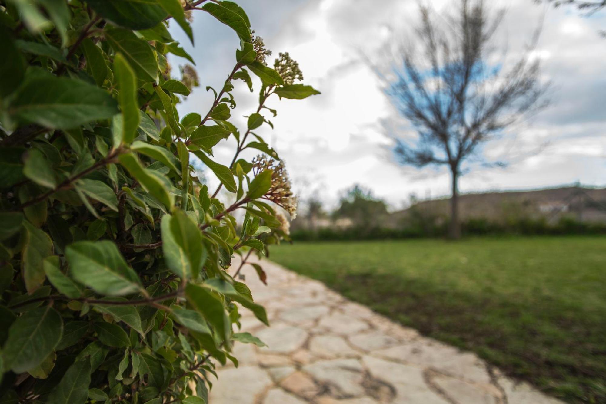 Cabana De Campo Agost Εξωτερικό φωτογραφία